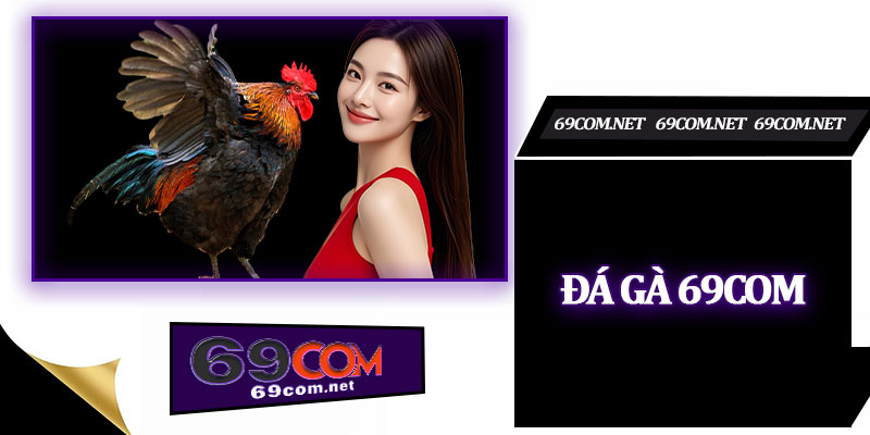 Đá Gà 69com